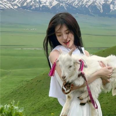 中国诗词大会第二季